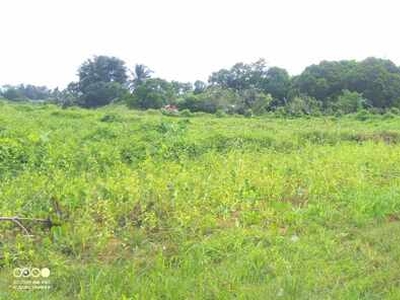 Lot For Rent In Pansol, Lopez