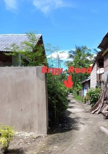 Lot For Sale In Dumaguete, Negros Oriental