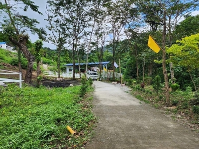 Lot For Sale In Malaya, Pililla