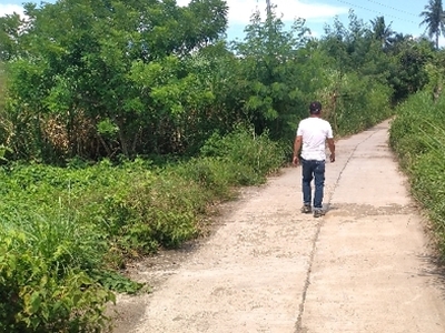 Lot For Sale In Pantay, Calaca