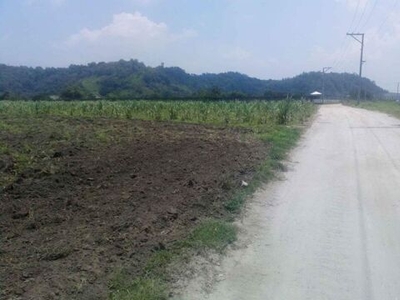 Lot For Sale In San Pedro, Bamban
