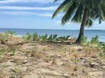 Lot For Sale In Sofronio Espanola, Palawan