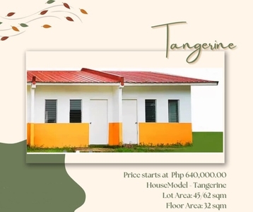 Townhouse For Sale In Pinugay, Baras