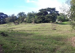 Large Agricultural Lot