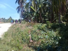 LOT in SIARGAO for SALE