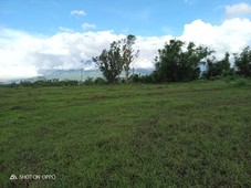 5Has+ Residential Lot in Pili Camarines Sur for Sale