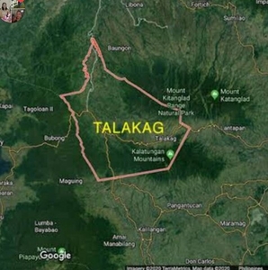 Lot For Sale In Dominorog, Talakag