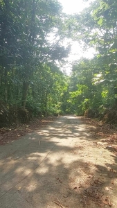 Lot For Sale In May-it, Lucban