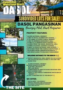 Lot For Sale In Petal, Dasol