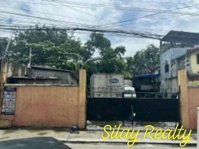 Lot For Sale In Pulang Lupa Uno, Las Pinas