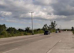 1.5 hectares Raw Land For Sale along high traffic Felipe Vergara Highway (30 meters wide / 6 lanes) in Cabanatuan City