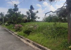 Ponderosa Lot for Sale in Silang,Cavite, Elevated Lot