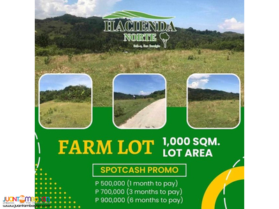 1000SQM Farm Lot in Hacienda Norte San Remegios Cebu