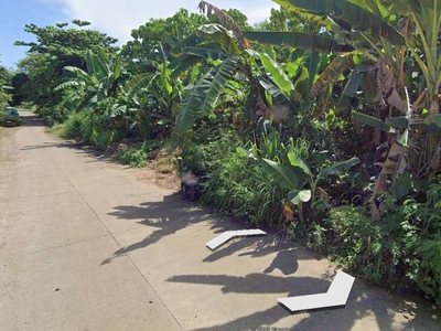 LOT FOR SALE IN FRONT OF DAVAO INTERNATIONAL AIRPORT