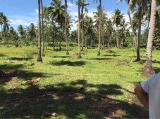 FARM LOT FOR SALE TRINIDAD, BOHOL ? KALUBIHAN 500sq mtr 1,000 per sq mtr Along Barangay Road