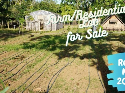 Lot For Sale In Agus-us, Indang