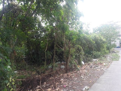 Lot For Sale In Baclaran, Cabuyao