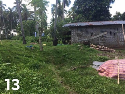 Lot For Sale In Mudiang, Davao