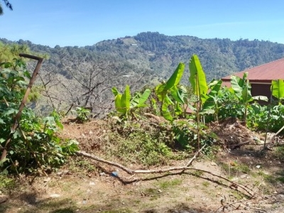 Lot For Sale In Tuding, Itogon