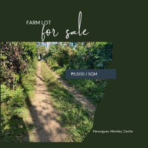 Farm Lot for Sale in Brgy. Panungyan, Mendez, Cavite