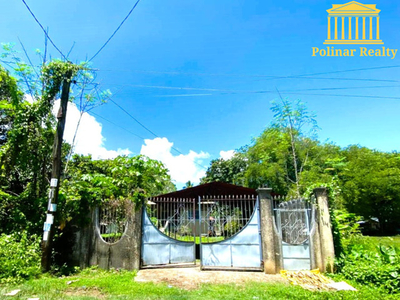 House For Sale In Island Of Garden Samal, Samal, Davao Del Norte