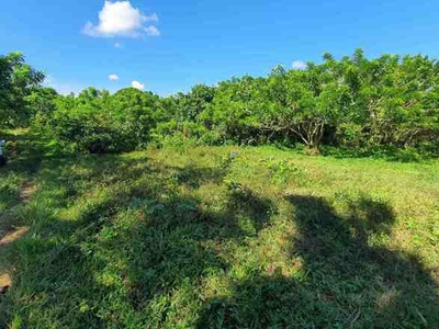 Lot For Sale In Amadeo, Cavite