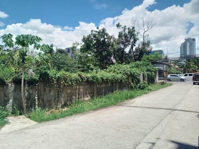 Lot For Sale In Camputhaw, Cebu