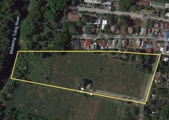 2 Hectares Vacant Land Town Proper Baragay II, Tiaong, Quezon Very good for investments come and check it out!!