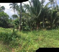 Farm Lot / Agricultural Lot in Lucban Quezon