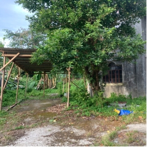 2 storey house 3 bedroom in in Diaz, San Fransisco, Surigao del Norte