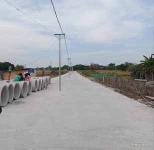 8, 900 sqm Industrial Lot 4sale in Canumay East, Valenzuela City