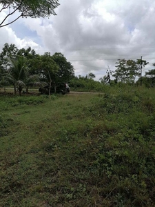 8,000 sqm Residential Land in Tabuelan Town, Northern Cebu For Sale
