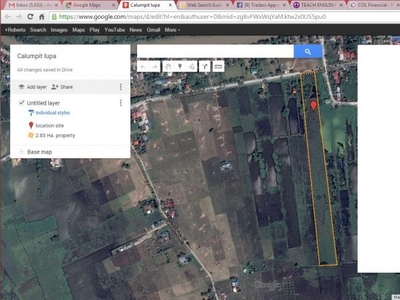 Calumpit, Bulacan 2. 83 ha. farm land lot property. NEGOTIABLE