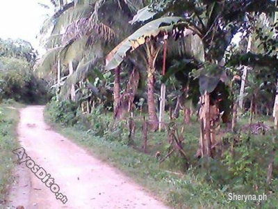 Farm lot 4, 000sq. m clean titled at mambago-b babak samal island