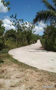 Farm Lot for Sale (2, 500 per sqm) located at Bucal, Amadeo
