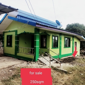 House and Lot For Sale in Barangay Tibagan, Tarlac City, Tarlac