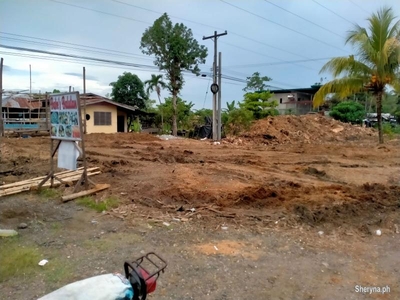 Lot for sale 4. 5 hectares for 135m Panabo Davao