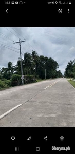 Lot for sale in Isugan Bacong Negros Oriental