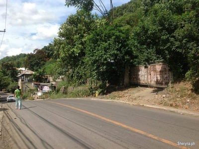 Lot For Sale in Talamban, Cebu City for Investment Development