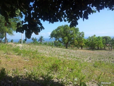 Lot only for residential overlooking tubod minglanilla cebu south
