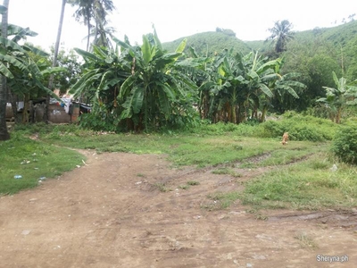Pre selling subdivided residential lot 50sq. mtrs in minglanilla