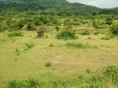 RARE 30 ha. upland, flat, irrigated farm- Botolan, Zambales