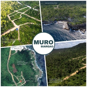 Siargao lots for Sale with great sea view