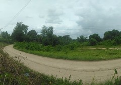 PRIVATE LOT FOR INSTALLMENTS AT MASLOG DANAO WALKING DISTANCE FROM HIWAY NEAR CHURCH