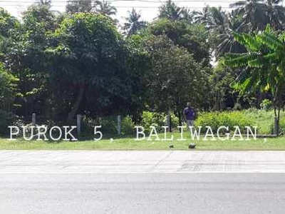 Lot For Sale In Baliwagan, Balingasag