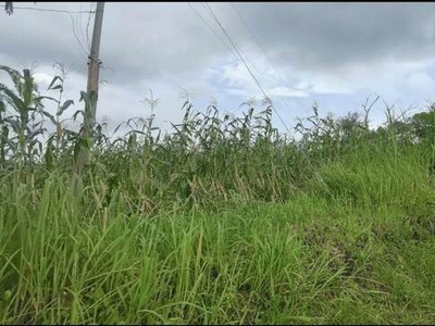 Lot For Sale In Caluangan, Calaca