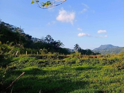 For Sale Titled Lot for Resort, Campsite, Farm or Vacation Place, Tanay