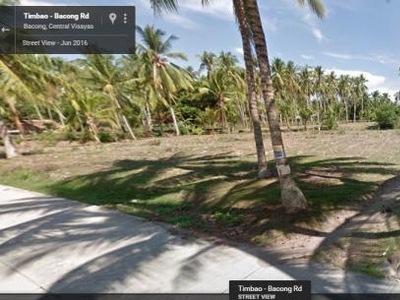 Agricultural Lot for sale in Bacong