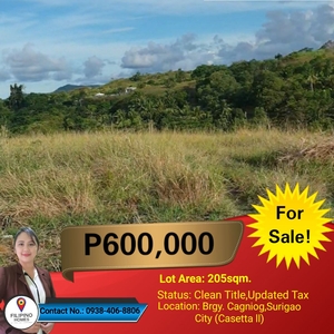CLEAN TITLED RESIDENTIAL LOT,SURIGAO CITY