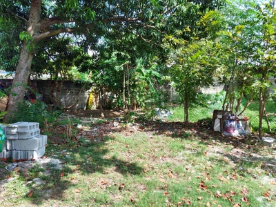 Lot for Sale: Filinvest Homes South